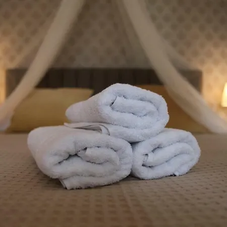 Blue Ivy Apartman Seline