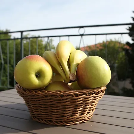 Blue Ivy Apartament